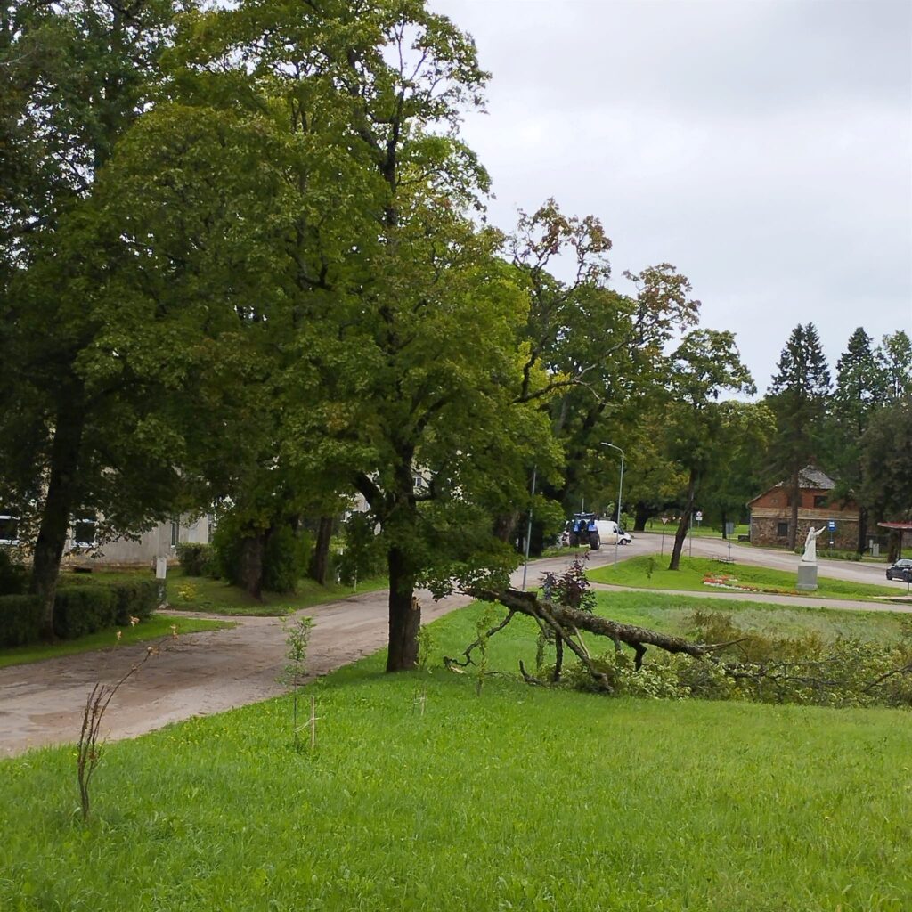 Lizuma pagasts.
Autors: Foto: Inta Dārzniece ("Facebook")