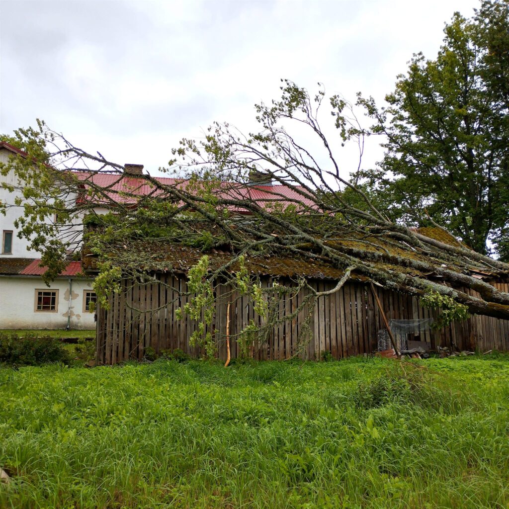 Lizuma pagasts.
Autors: Foto: Inta Dārzniece ("Facebook")