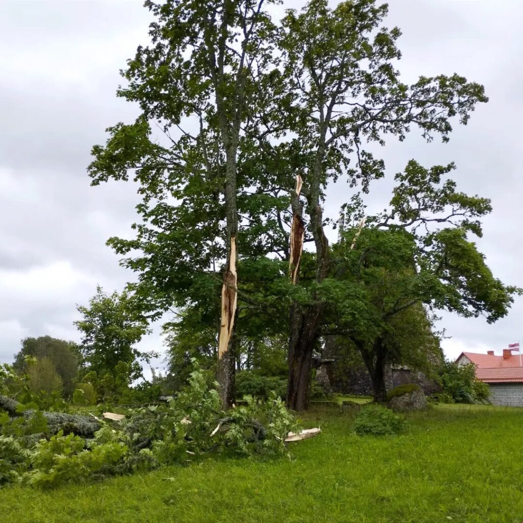 Lizuma pagasts.
Autors: Foto: Inta Dārzniece ("Facebook")