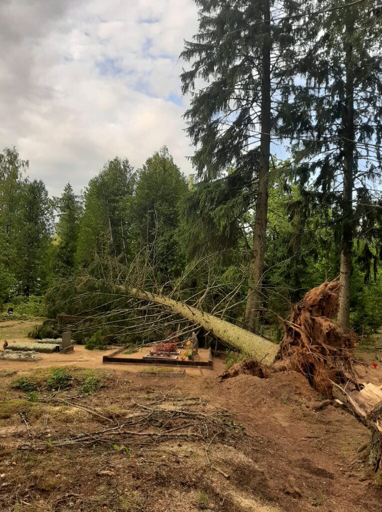 Lizuma Sila kapi.
Autors: Foto: no privātā arhīva