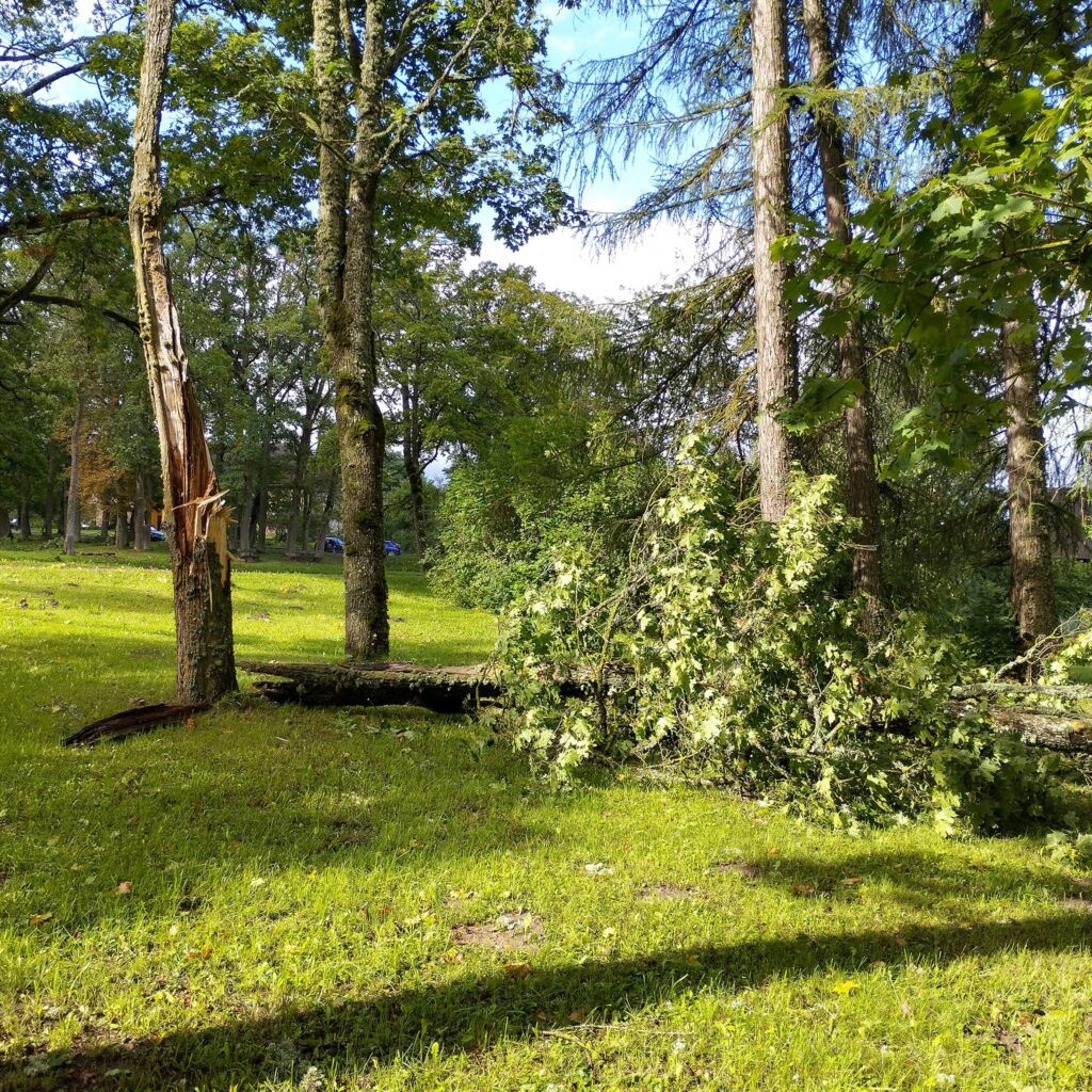 Lizuma pagasts.
Autors: Foto: Inta Dārzniece ("Facebook")