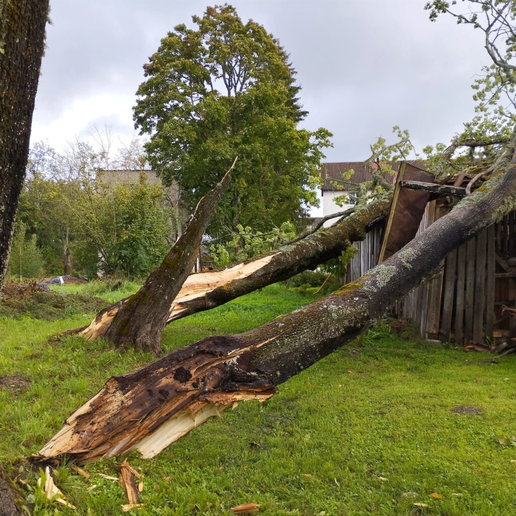 Lizuma pagasts.
Autors: Foto: Inta Dārzniece ("Facebook")