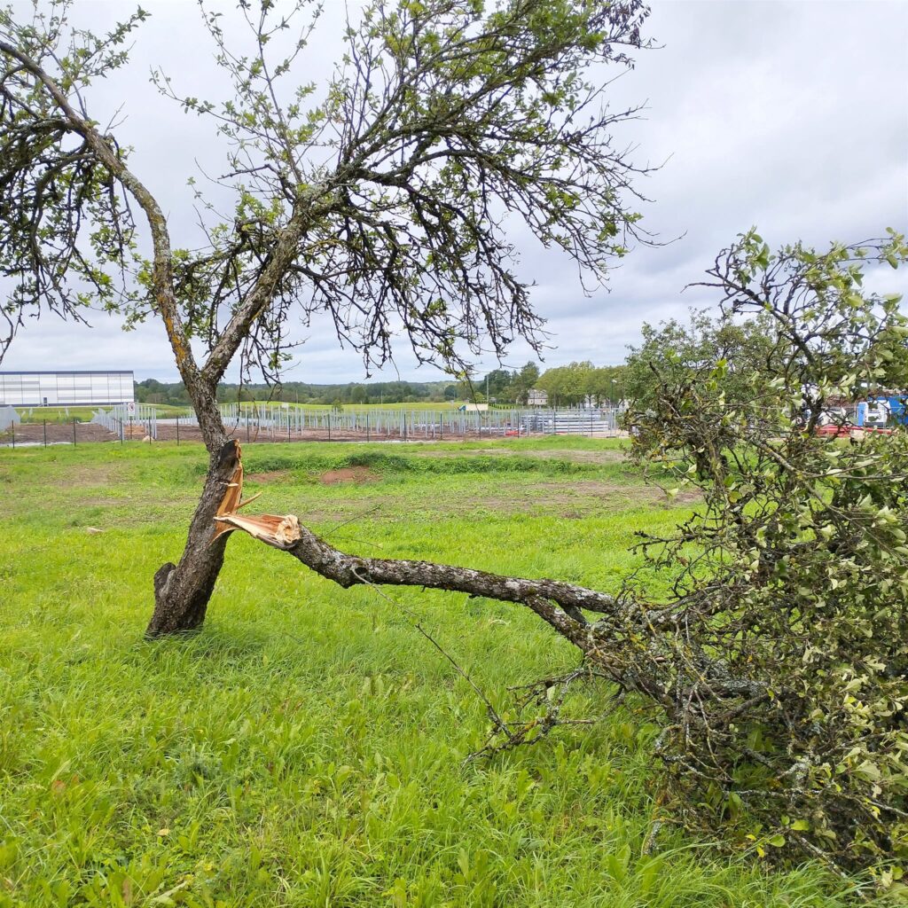 Lizuma pagasts.
Autors: Foto: Inta Dārzniece ("Facebook")