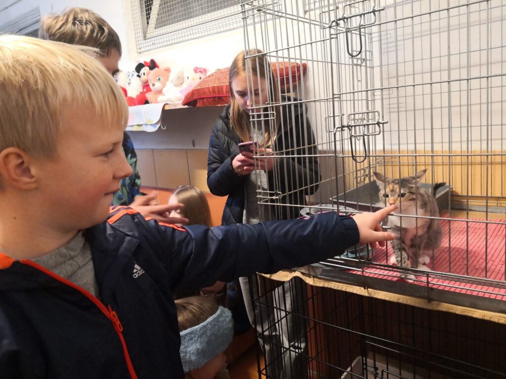 Autors: Publicitātes foto.