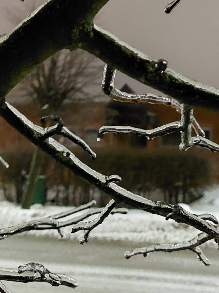 Autors: Foto: Pārsla Konrāde