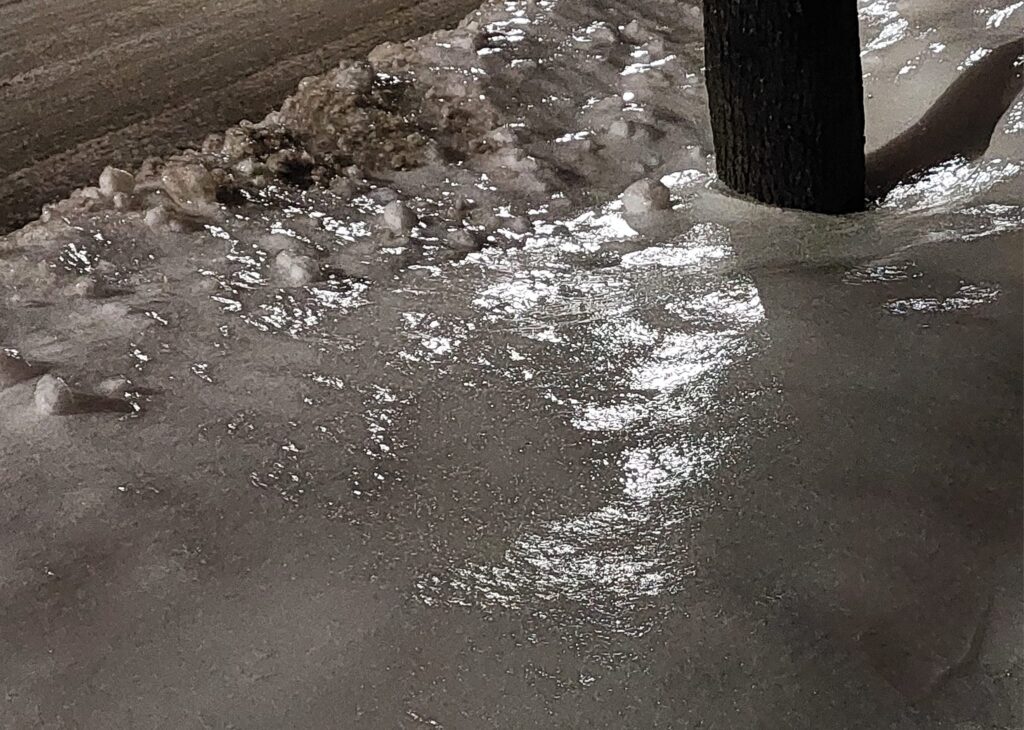 Autors: Foto: Pārsla Konrāde