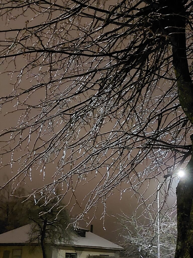 Autors: Foto: Pārsla Konrāde