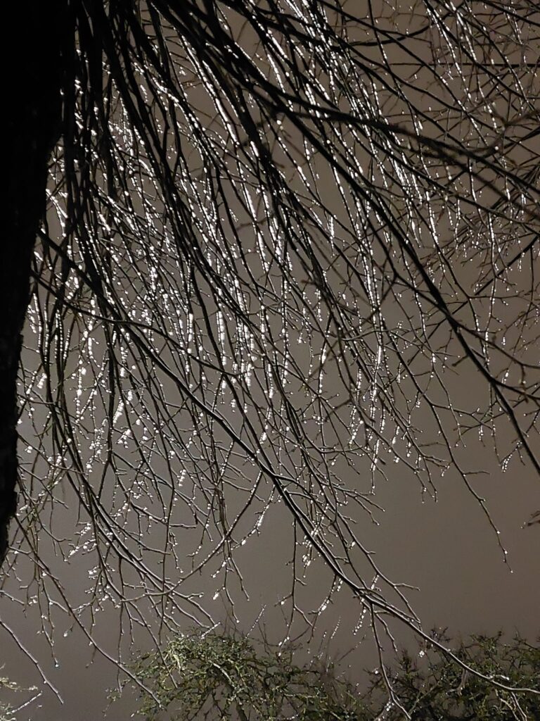 Autors: Foto: Pārsla Konrāde