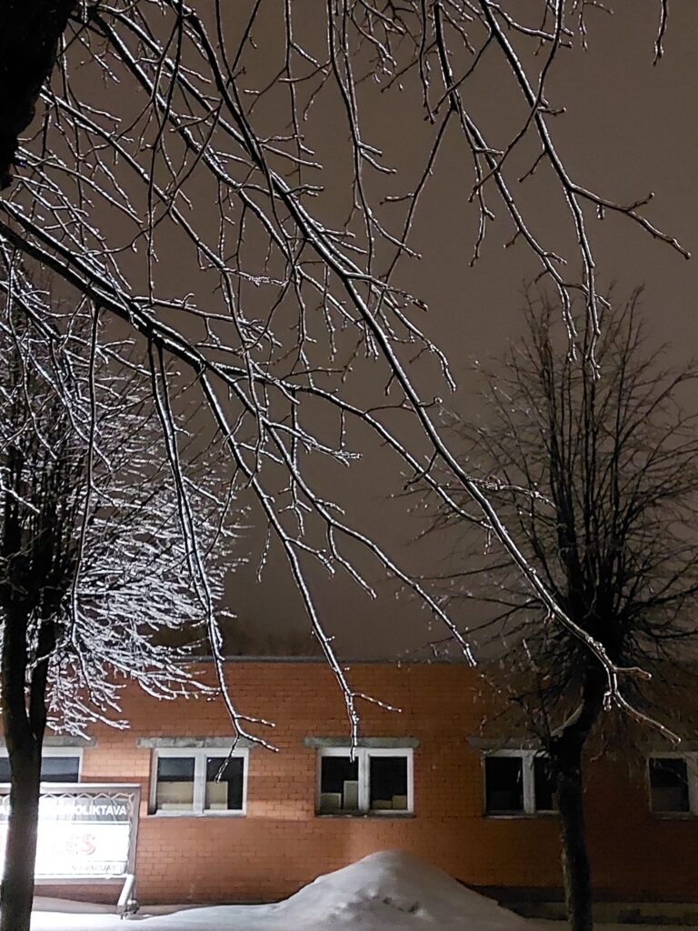 Autors: Foto: Pārsla Konrāde