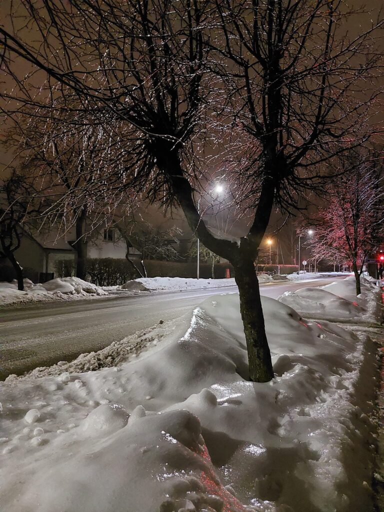 Autors: Foto: Pārsla Konrāde