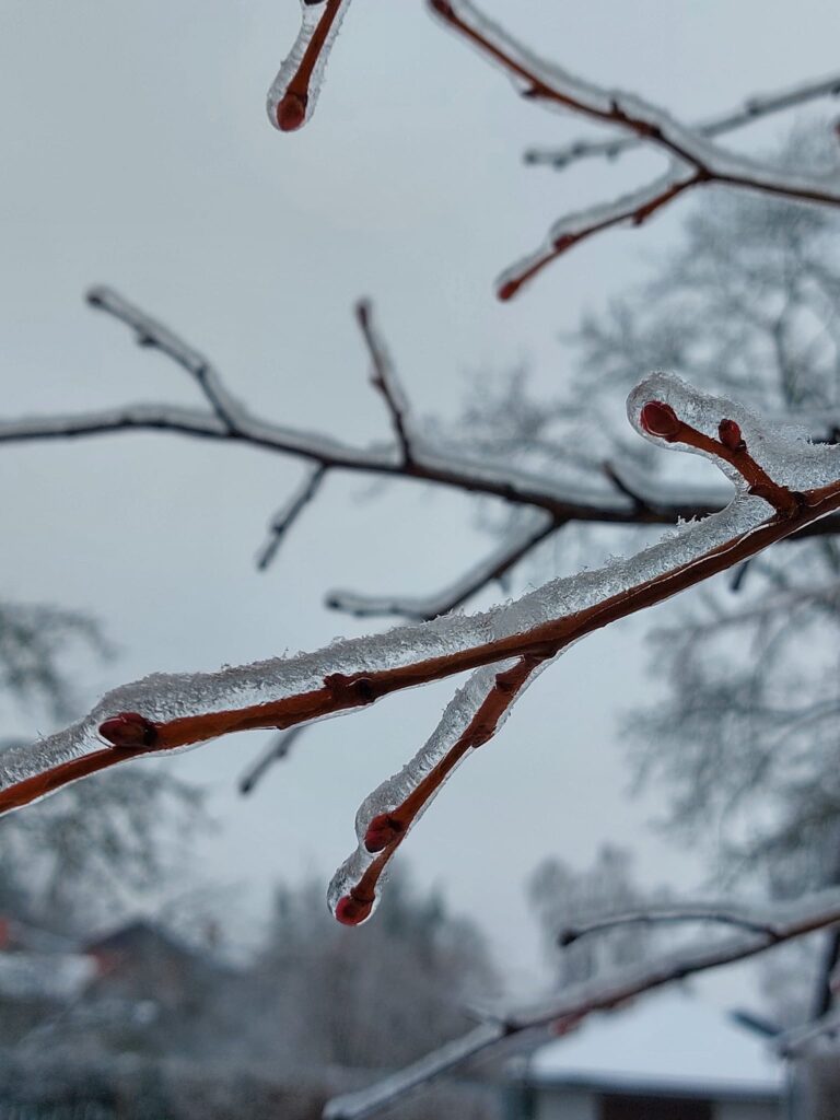 Autors: Foto: Pārsla Konrāde