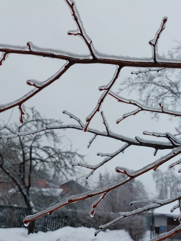 Autors: Foto: Pārsla Konrāde