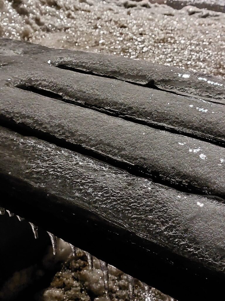 Autors: Foto: Pārsla Konrāde