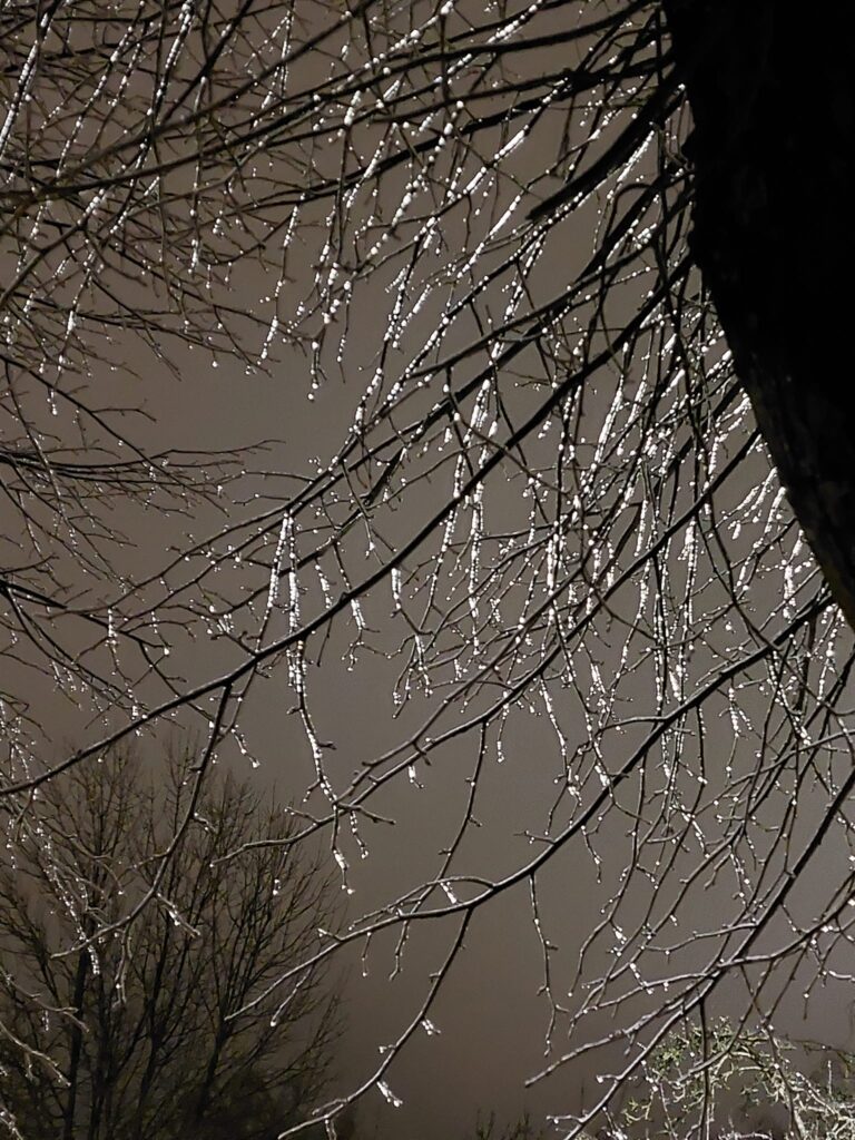 Autors: Foto: Pārsla Konrāde