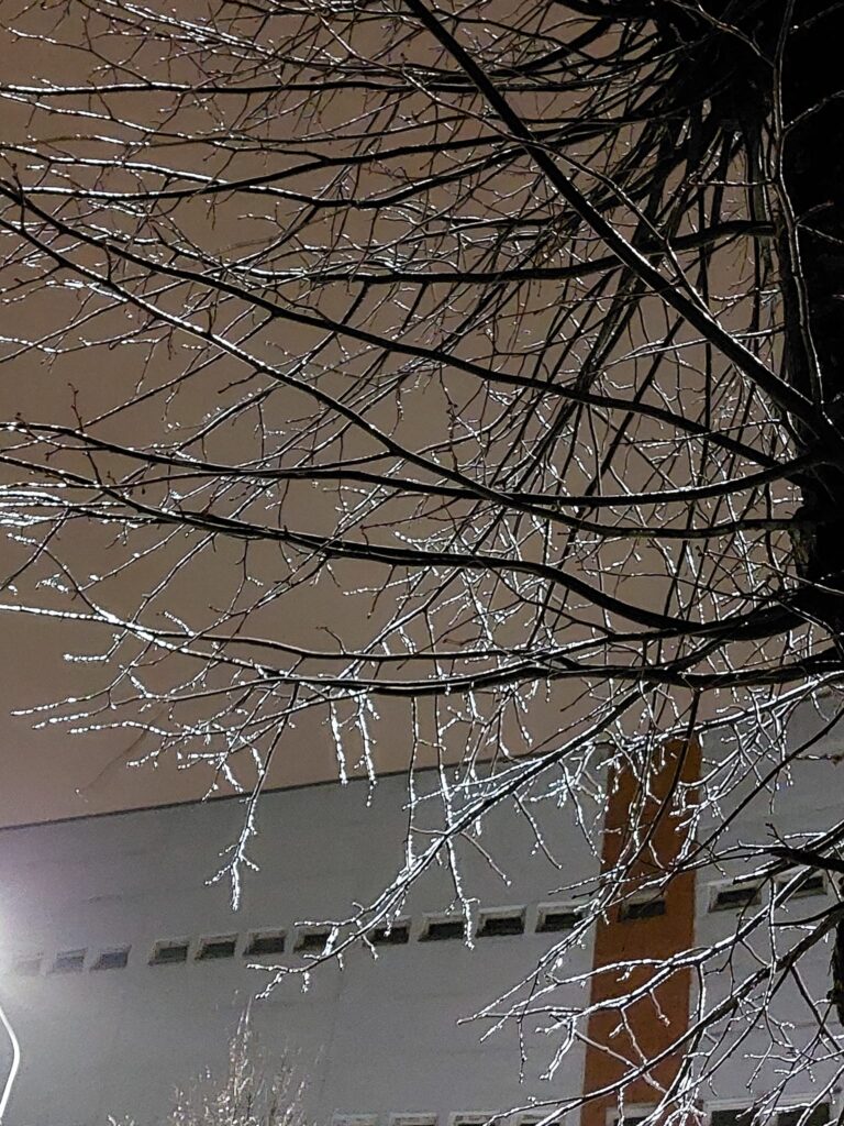 Autors: Foto: Pārsla Konrāde