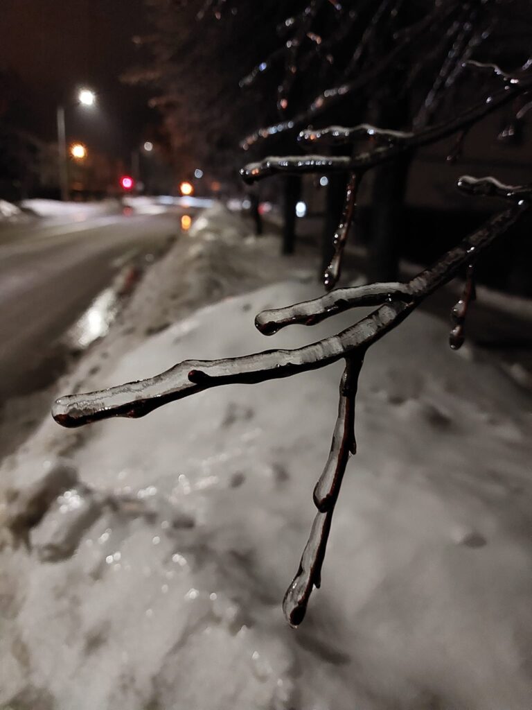 Autors: Foto: Pārsla Konrāde