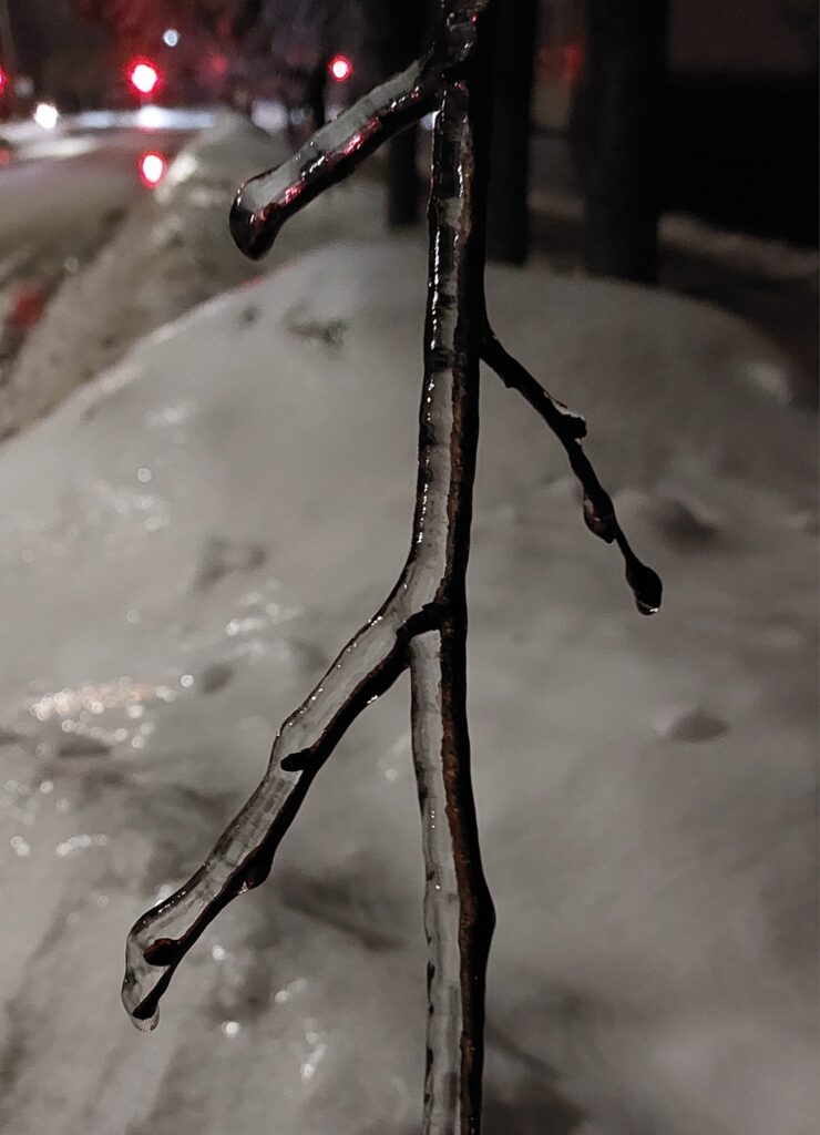 Autors: Foto: Pārsla Konrāde