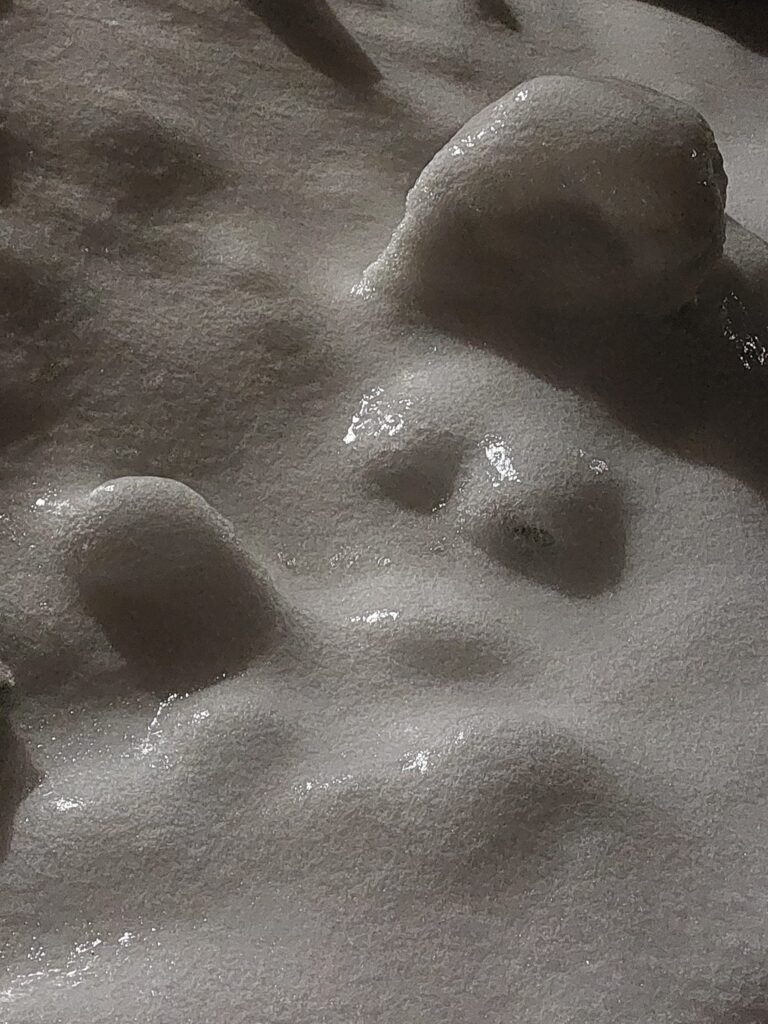 Autors: Foto: Pārsla Konrāde