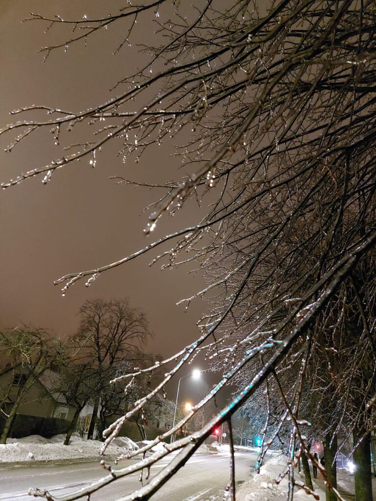 Autors: Foto: Pārsla Konrāde