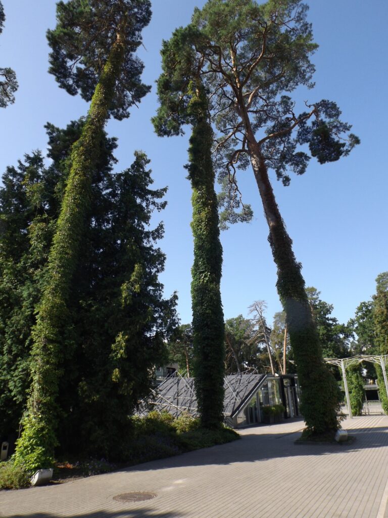 Autors: Foto: no privātā arhīva