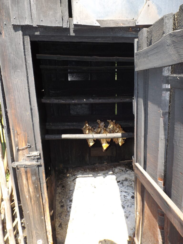 Autors: Foto: no privātā arhīva