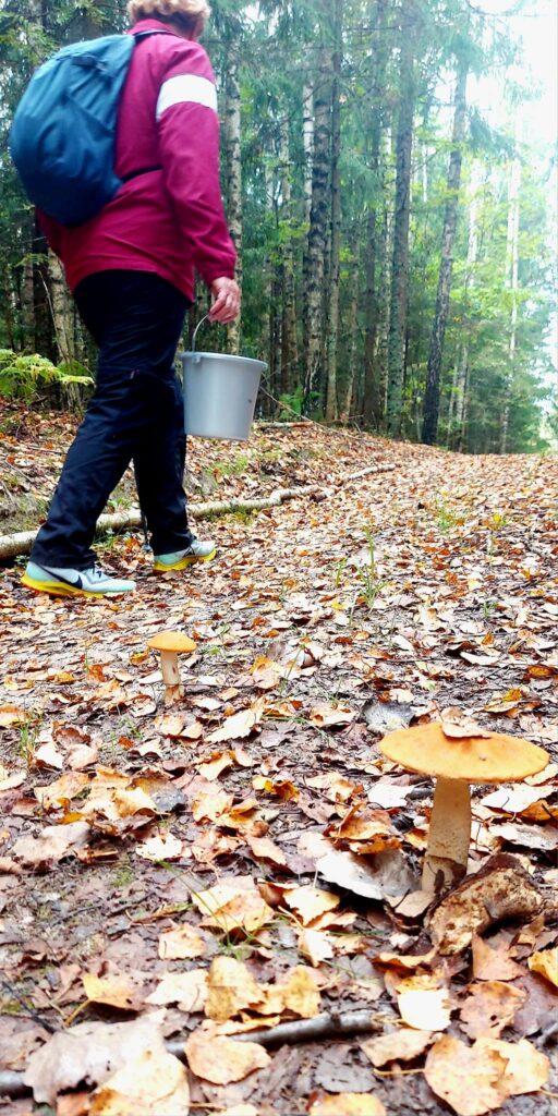 Autors: Foto: Galgauskas kultūras nams/"Facebook.com".