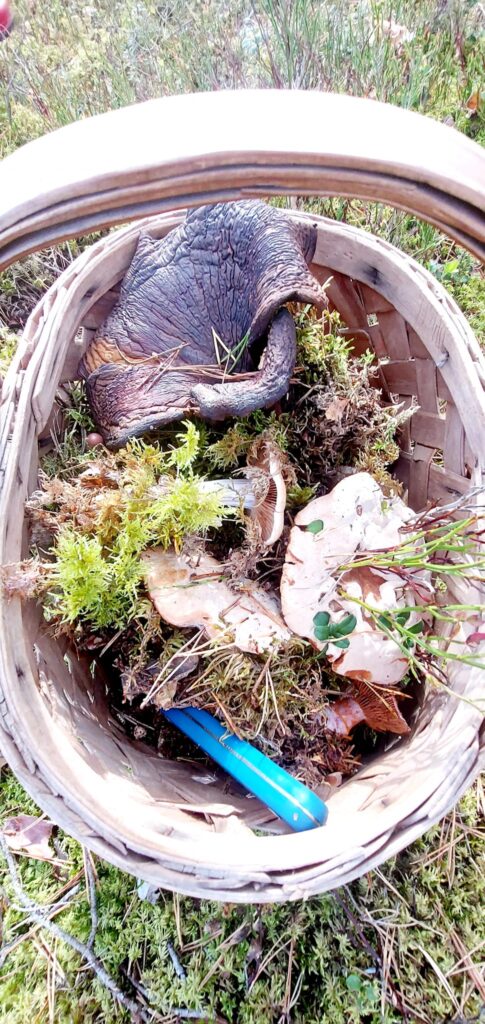 Autors: Foto: Galgauskas kultūras nams/"Facebook.com".