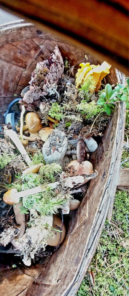 Autors: Foto: Galgauskas kultūras nams/"Facebook.com".