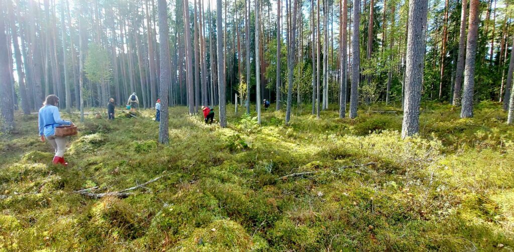 Autors: Foto: Galgauskas kultūras nams/"Facebook.com".