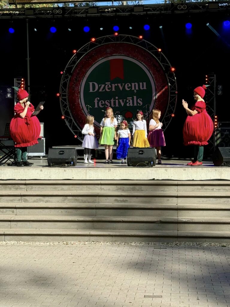 Autors: Foto: Jaungulbenes pagasts/"Facebook.com"