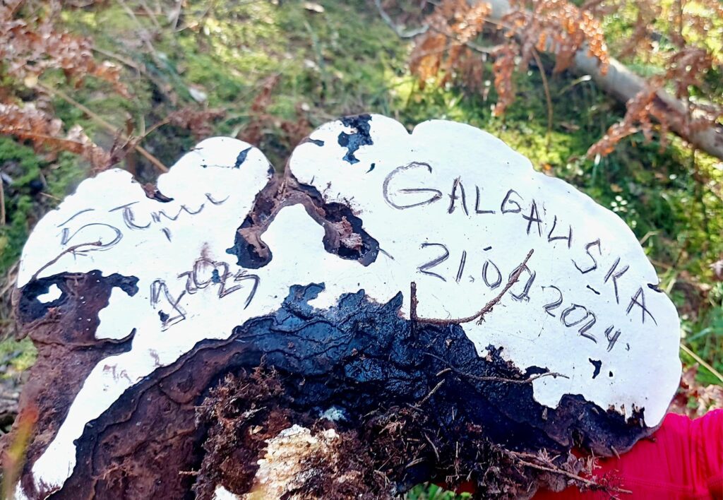 Autors: Foto: Galgauskas kultūras nams/"Facebook.com".