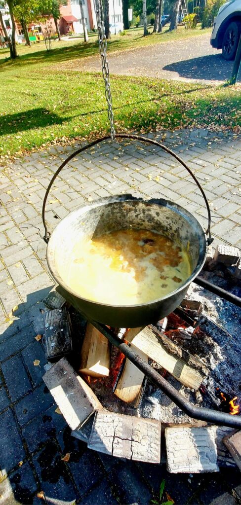 Autors: Foto: Galgauskas kultūras nams/"Facebook.com".