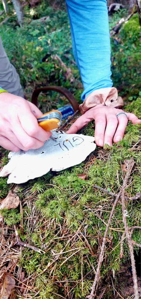 Autors: Foto: Galgauskas kultūras nams/"Facebook.com".