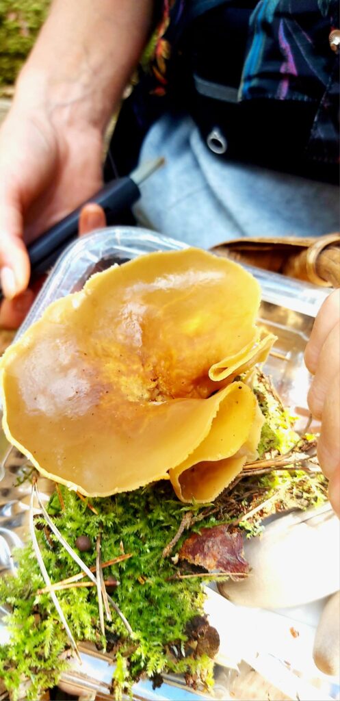 Autors: Foto: Galgauskas kultūras nams/"Facebook.com".