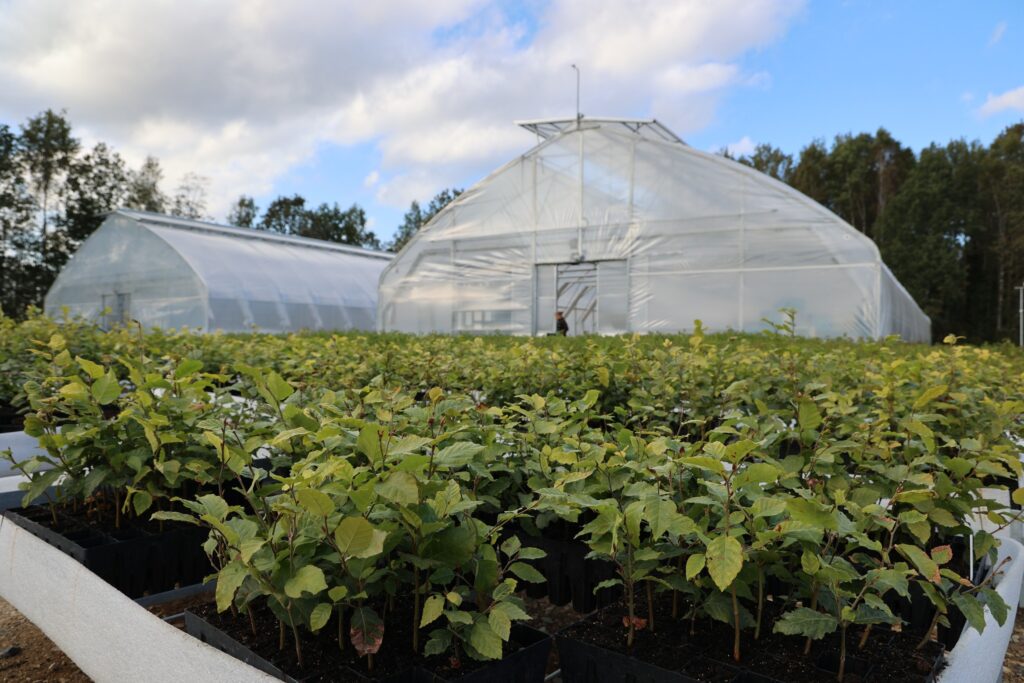 Autors: Foto: "Facebook.com"/"Valsts ieņēmumu dienests"