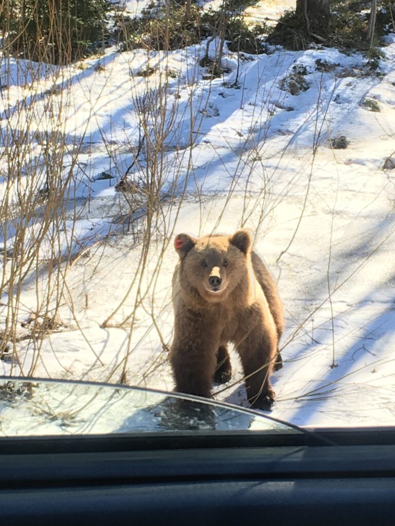 Autors: Foto: Marta Briška.