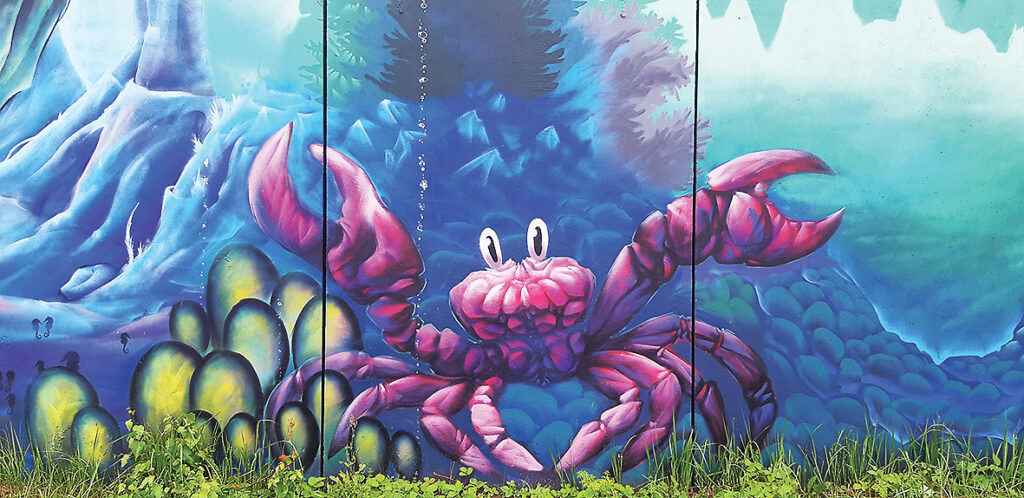 Autors: Foto: Sandra Apine