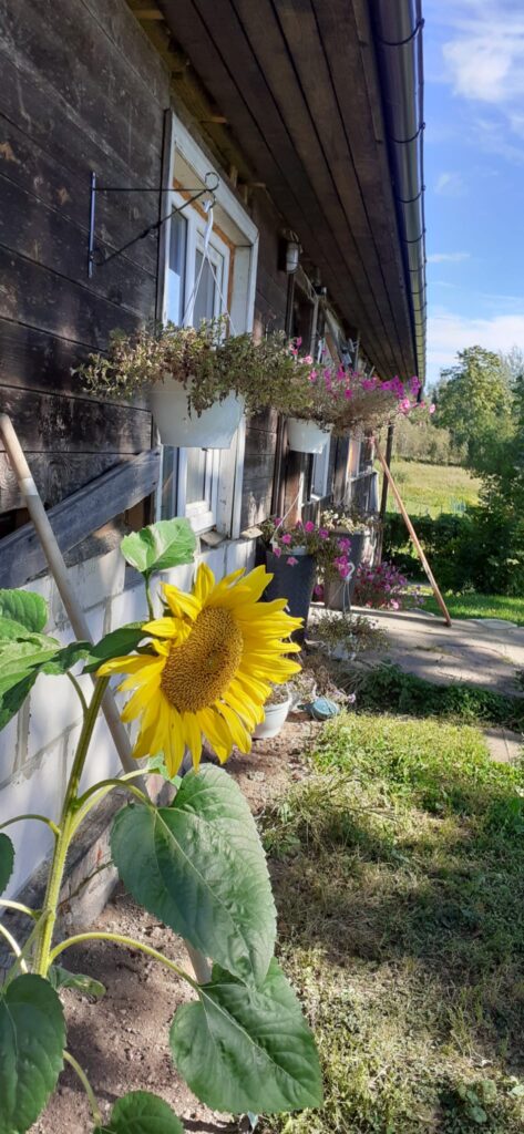 Autors: Foto: no privātā arhīva