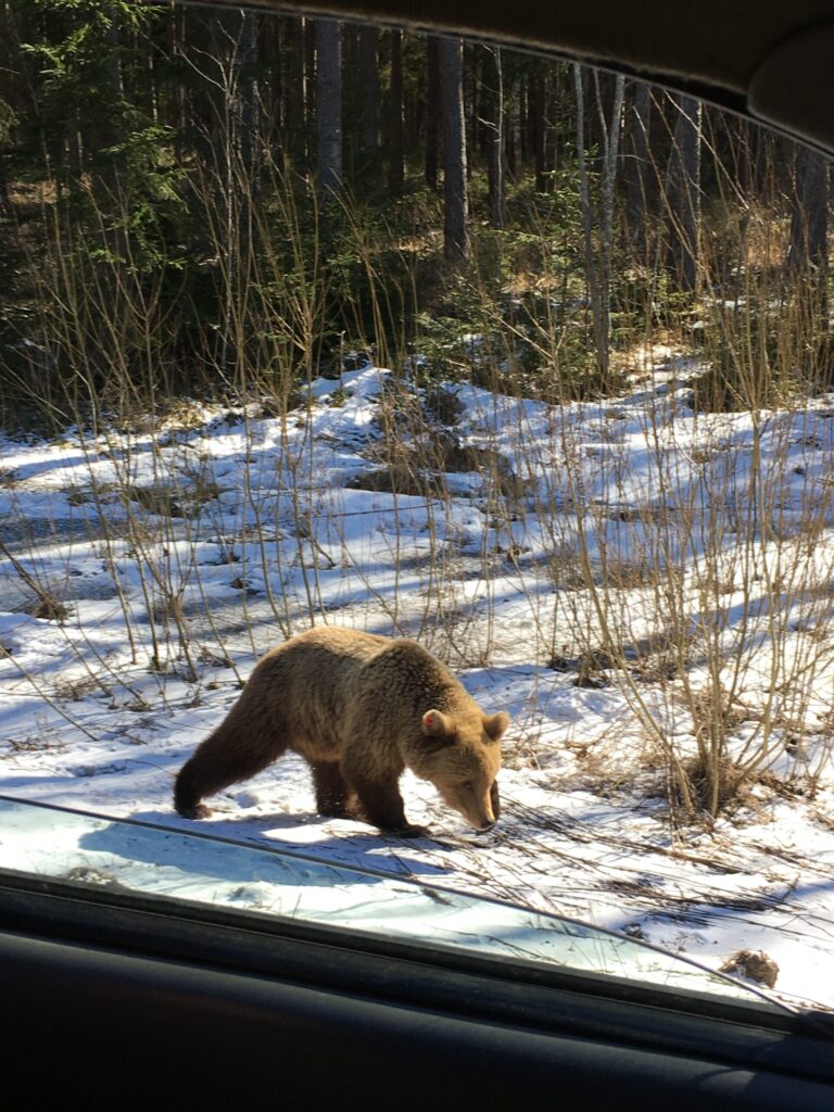 Autors: Foto: Marta Briška.