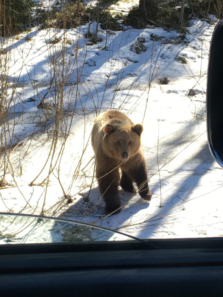 Autors: Foto: Marta Briška.