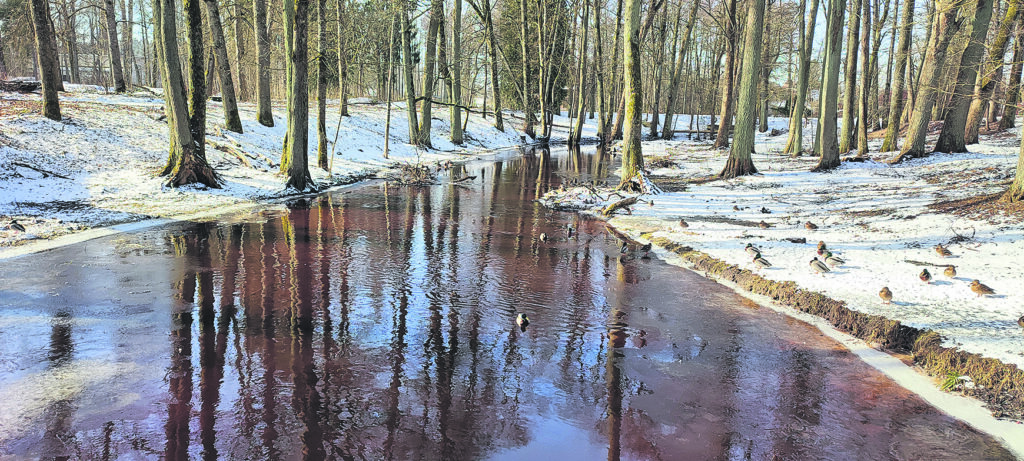 Autors: Foto: no privātā arhīva