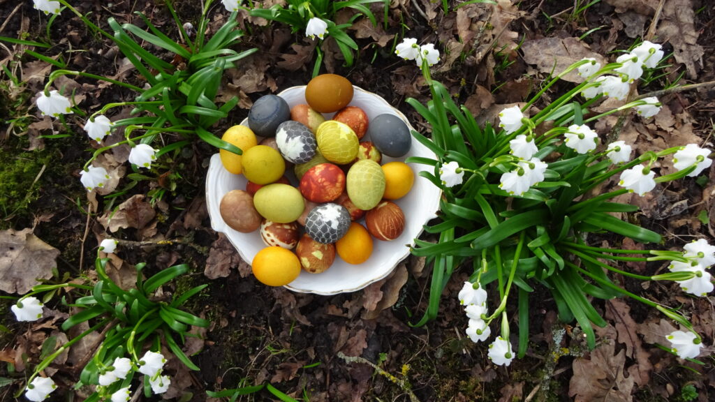 Autors: Foto iesūtījusi Silva Dziedātāja