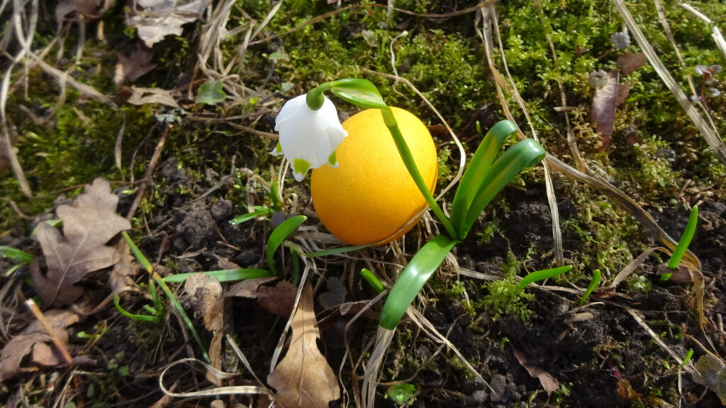 Autors: Foto iesūtījusi Silva Dziedātāja
