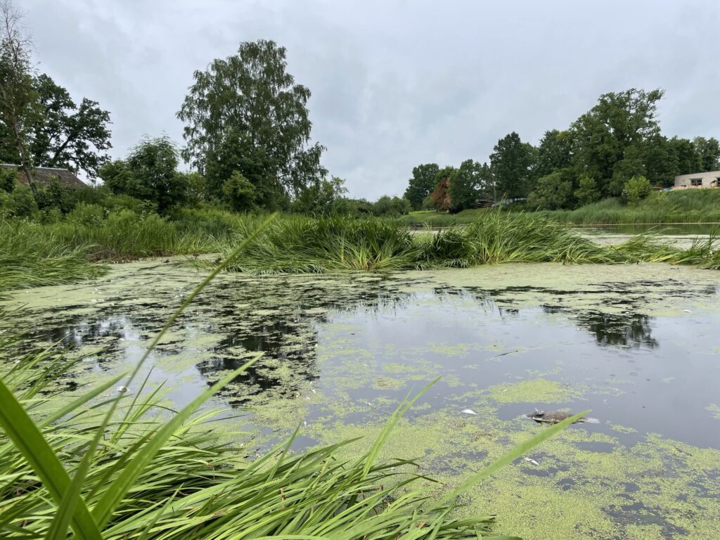 Aluksniesiem.lv raksta attēla aizvietotājs