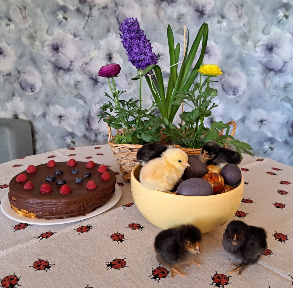 Autors: Foto: Eva Vīksniņa