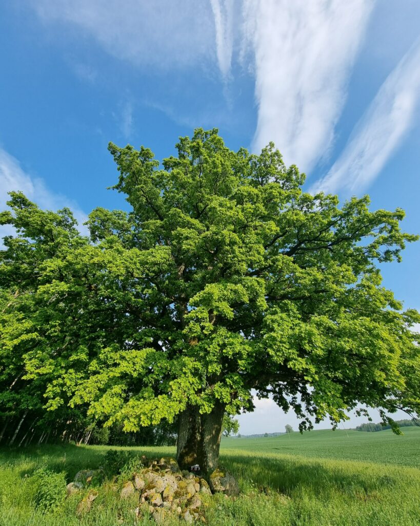 Autors: Foto no personiskā arhīva