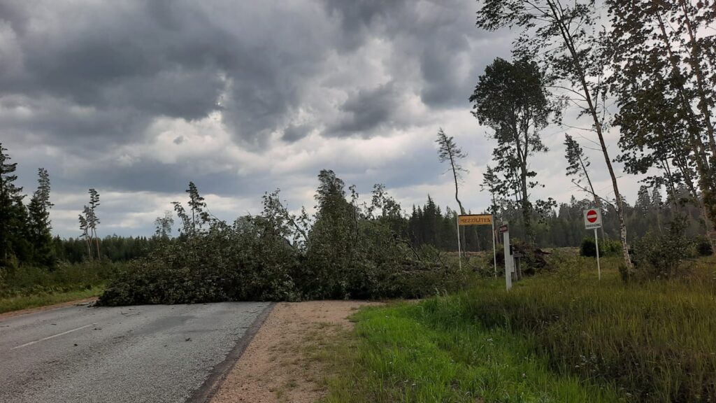 Vējš nogāzis kokus uz Gulbenes-Smiltenes šosejas
Autors: Foto: Gatis Bogdanovs