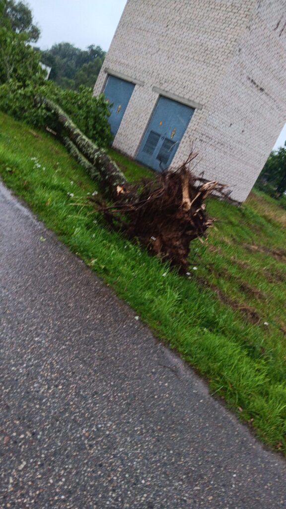 Rankas pagasts
Autors: Aiva Vasiļjeva