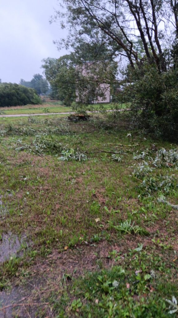 Rankas pagasts
Autors: Aiva Vasiļjeva