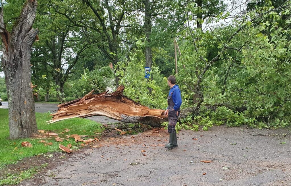 Jaungulbenē pie bērnudārza.
Autors: Foto: no privātā arhīva